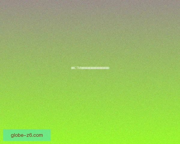 全新CTM坐骑揭秘体验跨越不同世界的畅快骑行之旅